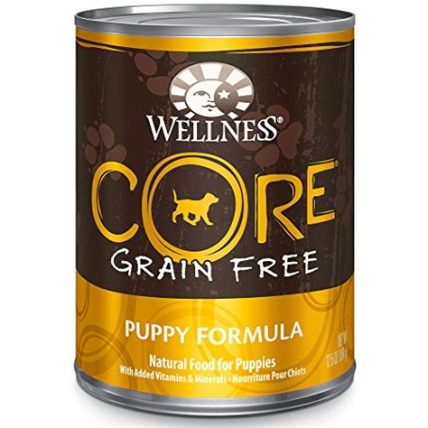 The Best Gluten Free Dog Food Brands for Dogs with Gluten Sensitivity