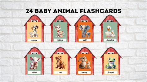 24 Baby Animal Flash Cards PDF Printable Cards - Etsy