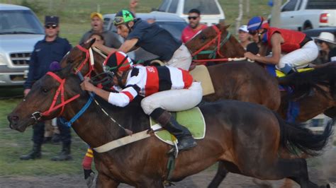 Hípico Don Goyo 17 09 2023 8 Carrera Dist 300 Mtrs Ganador