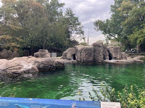 Astor Court California Sea Lion Exhibit Zoochat