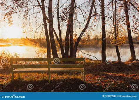 A Lonely Yellow Bench Stands Near The River In The Rays Of The R Stock