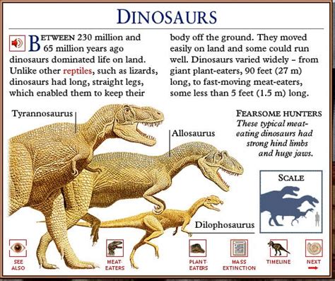 Allosaurus Size Comparison To T Rex