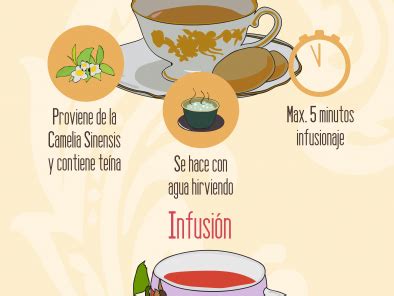 Diferencias entre té e infusión Artofit