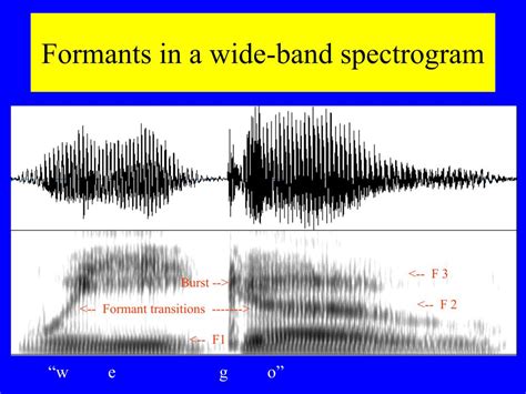 Ppt Adult Speech Perception Powerpoint Presentation Free Download Id 101763