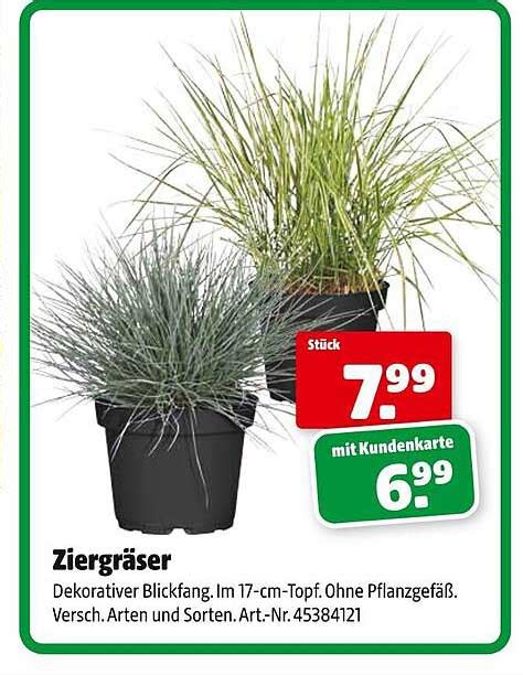 Ziergr Ser Angebot Bei Hagebaumarkt