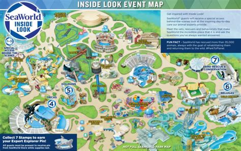 Behind The Thrills Getting An ‘inside Look Into The Seaworld San