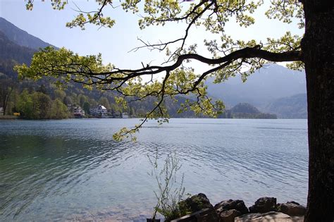 Primavera Inicio De La Foto Gratis En Pixabay Pixabay