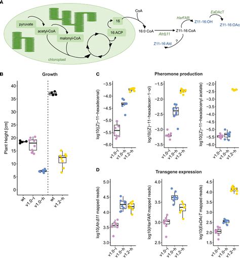 Frontiers Transcriptional Deregulation Of Stress Growth Balance In Nicotiana Benthamiana