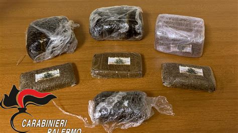 Sperone Aveva In Casa Quasi 2 Chili Di Hashish Arrestato Un Diciannovenne