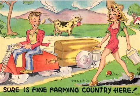 Risque Comic Postcard Pinup Woman Farmers Daughter Linen 1940s Tz £543