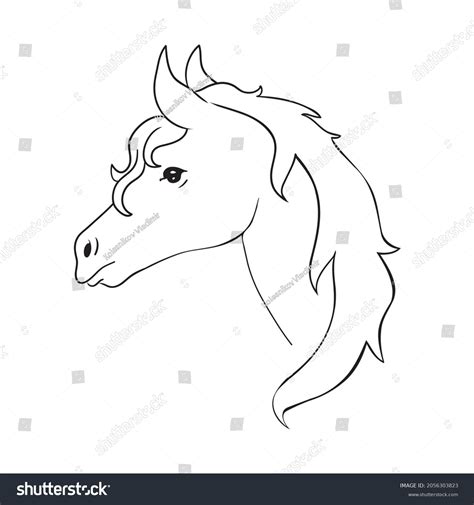 Sketch Realistic Vector Illustration Horse Portrait Stock Vector ...