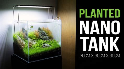 Planted Nano Tank Setup 30c Nature Aquarium Youtube