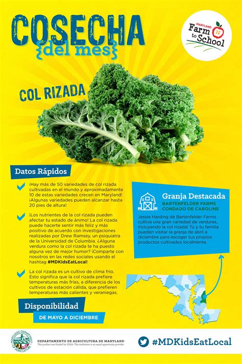 Pdf Cosecha Del Mes Col Rizada La Col Rizada Es Un Cultivo De