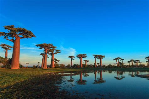 Madagaskar Reise I Dreamtime Fernreise-Spezialist
