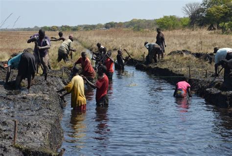 Zambia Fellesrådet for Afrika