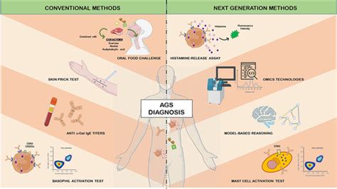 Full Article Current And Future Strategies For The Diagnosis And