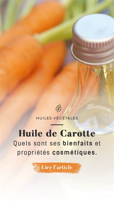 Huile de Carotte quels sont ses bienfaits et propriétés cosmétiques