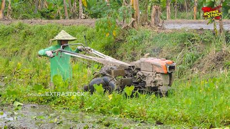 Joki Muda Traktor Bekerja Keras Mengolah Lahan Dalam Dengan Traktor