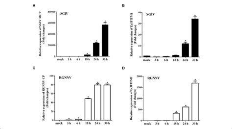 The Expression Profiles Of Ecifitm1 A The Level Of Sgiv Mcp Mrna