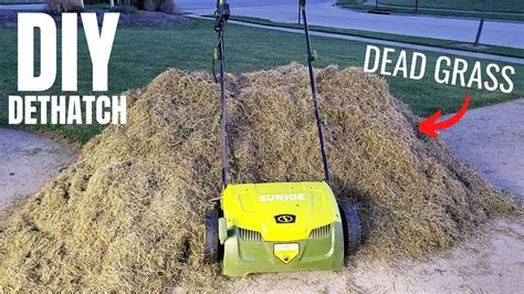 DIY Dethatching Overseed The Lawn Sun Joe Dethatcher Scarifier