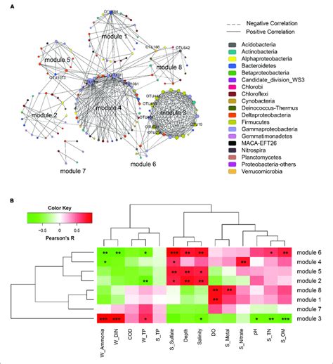 Network Analysis Of The Bacterial Community A Network Of Bacterial