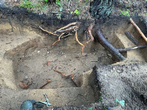 Merkinėje archeologai atkasė trijų partizanų palaikus GALERIJA 15min lt