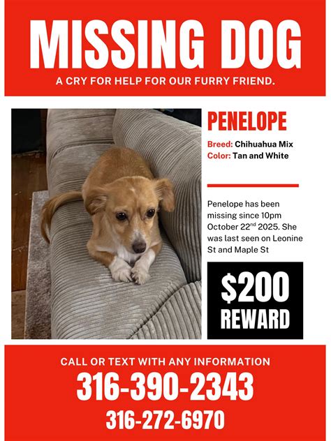 Craigslist Latino de Wichita, KS | UPDATE: PENELOPE ESTA EN CASA | Facebook