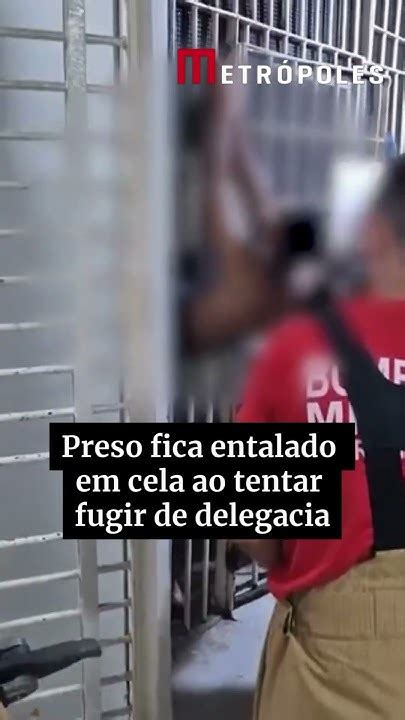 Preso Fica Entalado Em Cela Ao Tentar Fugir De Delegacia Youtube