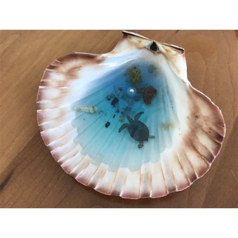 Shell Turtle Trinket Jewellery Dish