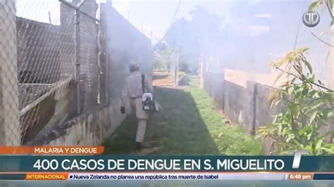 Telemetro Reporta On Twitter Casos De Malaria Y Dengue Aumentan En