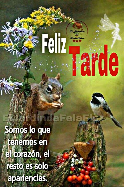 Imagenes De Buenas Tardes Con Frases Para Whatsapp Celular Saludos De