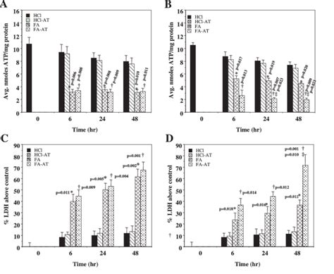 Atp Levels In 661w A And Arpe 19 B And Lactate Dehydrogenase Ldh