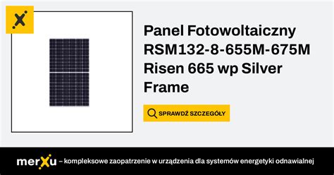 Risen Energy Panel Fotowoltaiczny Risen Wp Silver Frame Bifacial