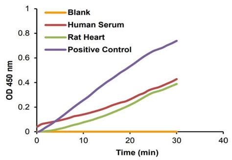 Creatine Kinase Activity Assay试剂盒 Colorimetric Abcam中文官网