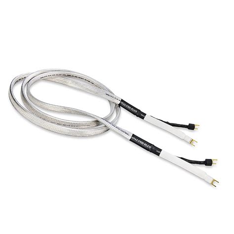 Big Silver Oval Speaker Cable Analysis Plus