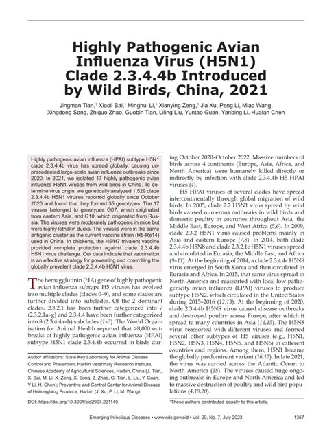 Pdf Highly Pathogenic Avian Influenza Virus H N Clade B