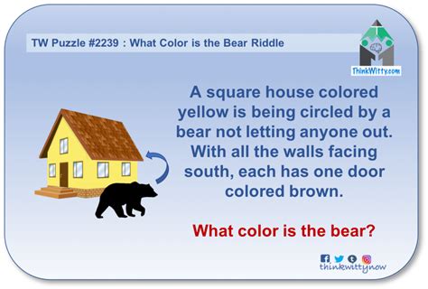 Answer To The What Color Is The Bear Riddle Think Witty