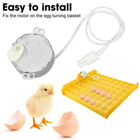 100 120v Egg Turnner Motor 4w Egg Turner Incubator Rotator Motor For Chicken Ebay