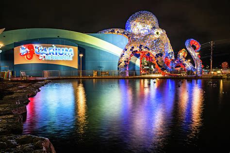 Aquarium At The Boardwalk - Branson Missouri Photograph by Gregory ...