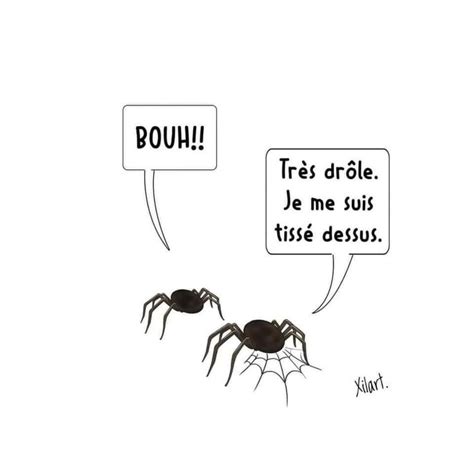 Two Spiders With Speech Bubbles Saying Booh And True Or False Je Me