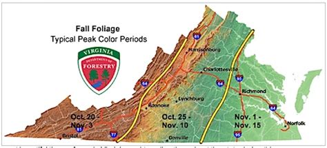 Fall Foliage and Festivals in Charlottesville - RealCentralVA.com