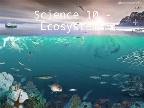 PPT Science 10 Ecosystems DOKUMEN TIPS