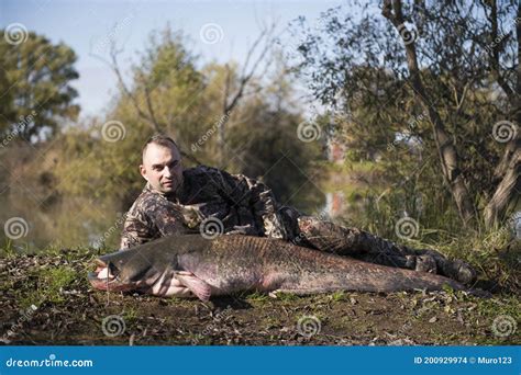 Fisherman Holding A Giant Catfish Stock Photo Image Of Angling