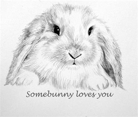 Realistic Bunny Drawing at GetDrawings | Free download