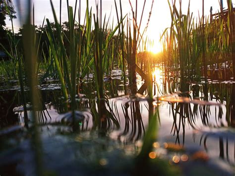 Natur Wasser Reflexion Kostenloses Foto Auf Pixabay Pixabay