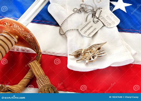 Navy SEAL trident on flag stock photo. Image of naval - 18247648