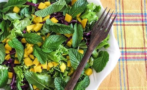 Receitas De Salada Tropical Para Uma Refei O Leve E Colorida