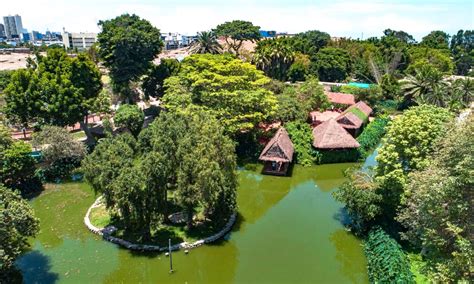 Un añito más Celebra el 59 aniversario del Parque de las Leyendas