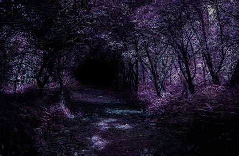 Some Creepy Purple Forest For Possible Backdrops Creepy Backgrounds