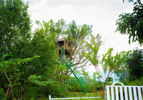 Tree Houses In Munnar To Stay On Your Next Visit Voye Homes